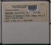 Image Associated With the Occurence